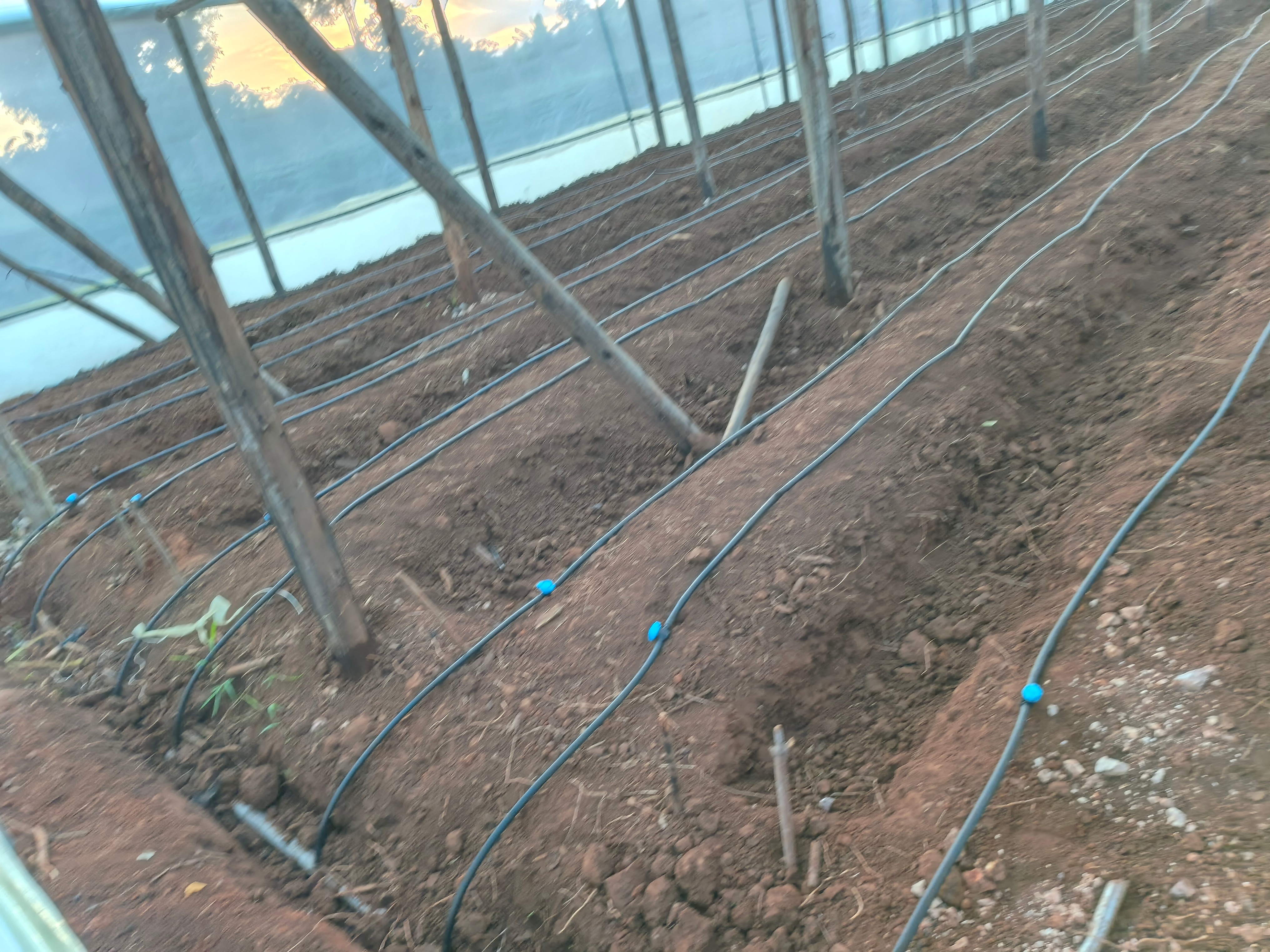 Field Irrigation System